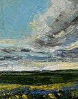The Long View
