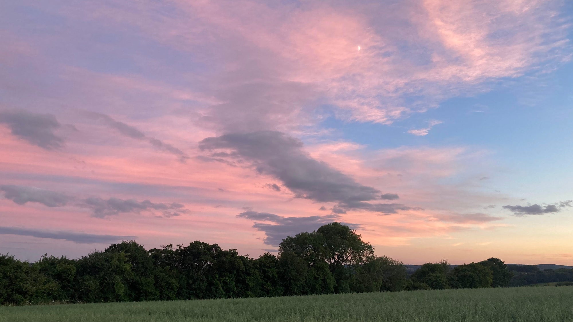 NATURE AS HEALER: LOVE, LOSS & CONNECTION